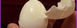 hard-boiled-eggs