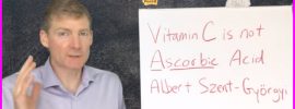 Vitamin C Is Not Ascorbic Acid